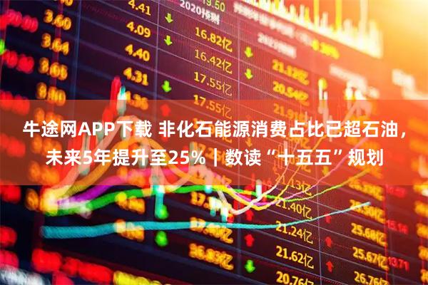 牛途网APP下载 非化石能源消费占比已超石油，未来5年提升至25%｜数读“十五五”规划